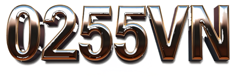 0255vn logo